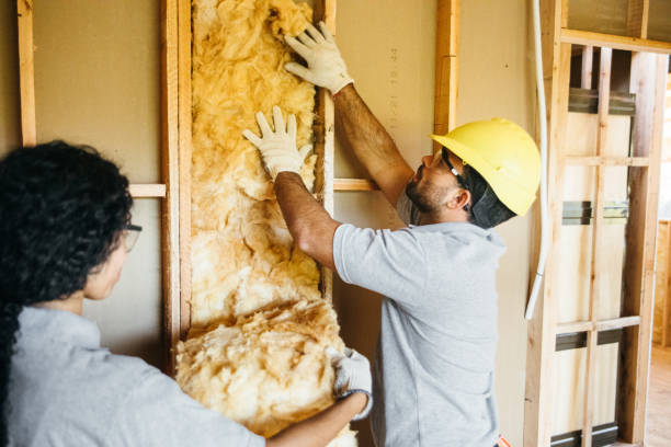 Types of Insulation We Offer in Wabasso, FL